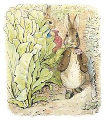 Benjamin Bunny, Beatrix Potter
